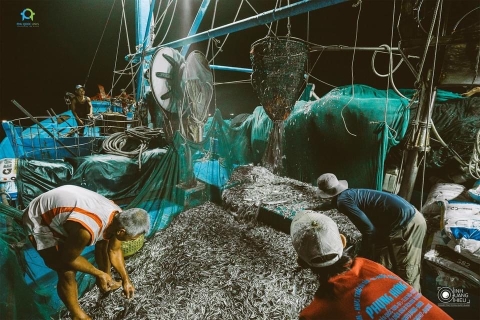 Nước mắm truyền thống Phú Quốc: Cần có phương án bảo vệ nguồn lợi cá cơm